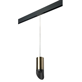 Lightstar Комплект со светильником Rullo для трека PRO Rullo PRORP43137 - фото и цены