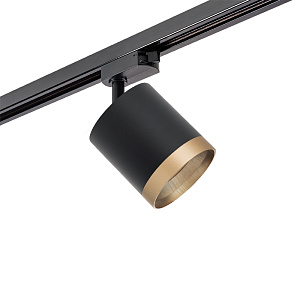 Lightstar Комплект со светильником Rullo R1T348790 - фото и цены