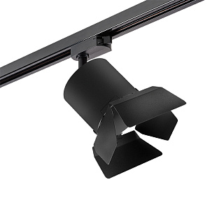 Lightstar Комплект со светильником Rullo R1T3487487 - фото и цены