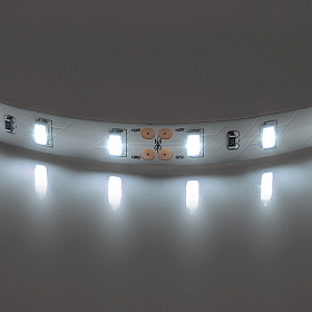 Лента белого свечения Lightstar 400076 - фото и цены
