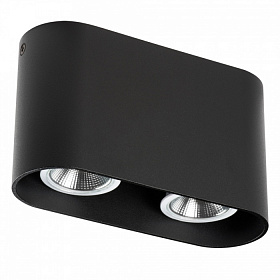 Накладной светильник Lightstar RULLO 2xHP16 214867 - фото и цены
