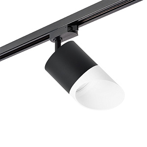 Lightstar Комплект со светильником Rullo R1T348786 - фото и цены