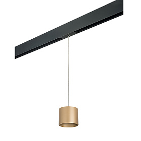 Lightstar Комплект со светильником Rullo для трека PRO Rullo PRORP3490 - фото и цены