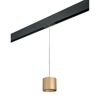 Lightstar Комплект со светильником Rullo для трека PRO Rullo PRORP3490 - фото и цены