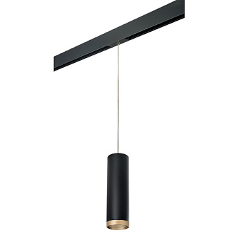 Lightstar Комплект со светильником Rullo для трека PRO Rullo PRORP649790 - фото и цены