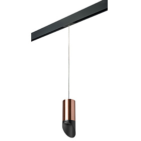 Lightstar Комплект со светильником Rullo для трека PRO Rullo PRORP43037 - фото и цены