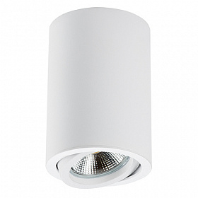 Светильник точечный накладной декоративный под заменяемые галогенные или LED лампы Lightstar Rullo 214406 - фото и цены