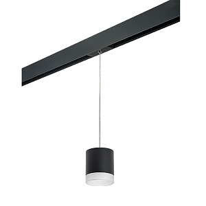 Lightstar Комплект со светильником Rullo для трека PRO Rullo PRORP348780 - фото и цены