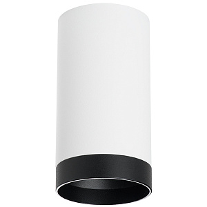 Lightstar Комплект со светильником Rullo R4363437 - фото и цены