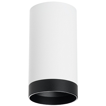 Lightstar Комплект со светильником Rullo R4363437 - фото и цены