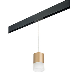 Lightstar Комплект со светильником Rullo для трека PRO Rullo PRORP349081 - фото и цены