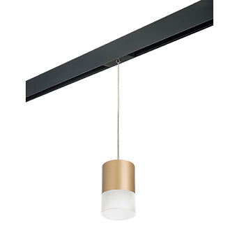 Lightstar Комплект со светильником Rullo для трека PRO Rullo PRORP349081 - фото и цены