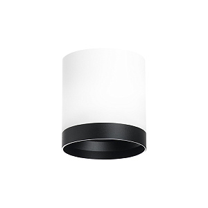 Lightstar Комплект со светильником Rullo R34863487 - фото и цены