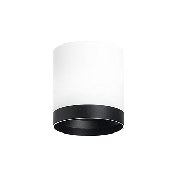 Lightstar Комплект со светильником Rullo R34863487 - фото и цены