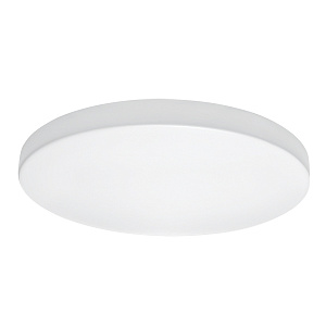 Светильник накладной заливающего света со встроенными светодиодами Lightstar Arco 225204 - фото и цены