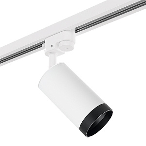 Lightstar Комплект со светильником Rullo R1T4363437 - фото и цены