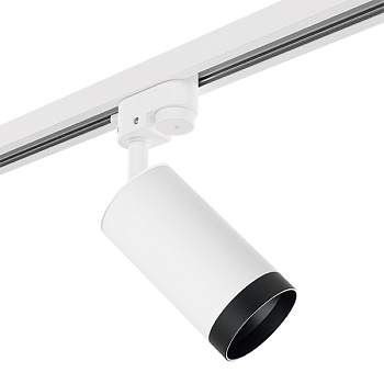 Lightstar Комплект со светильником Rullo R1T4363437 - фото и цены