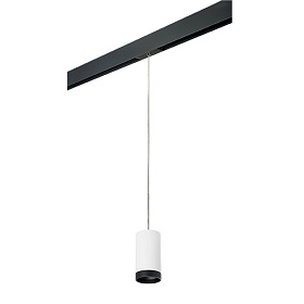 Lightstar Комплект со светильником Rullo для трека PRO Rullo PRORP4363437 - фото и цены