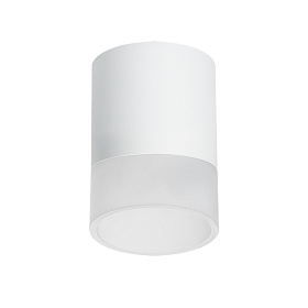 Lightstar Комплект со светильником Rullo R348681 - фото и цены