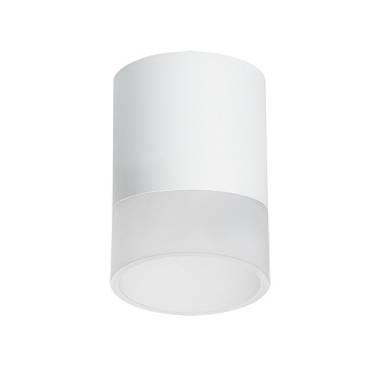 Lightstar Комплект со светильником Rullo R348681 - фото и цены