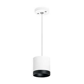 Lightstar Комплект со светильником Rullo RP34863487 - фото и цены