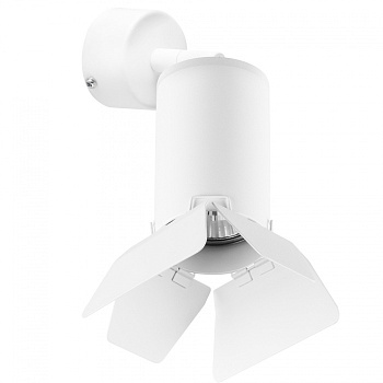Настенно-потолочный светильник Lightstar RULLO HP16 RB436436 - фото и цены