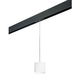 Lightstar Комплект со светильником Rullo для трека PRO Rullo PRORP3486 - фото и цены