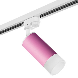 Lightstar Комплект со светильником Rullo R1T43231 - фото и цены