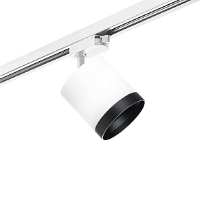 Lightstar Комплект со светильником Rullo R1T34863487 - фото и цены