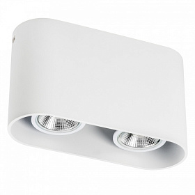 Накладной светильник Lightstar RULLO 2xHP16 214866 - фото и цены