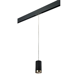 Lightstar Комплект со светильником Rullo для трека PRO Rullo PRORP437431 - фото и цены