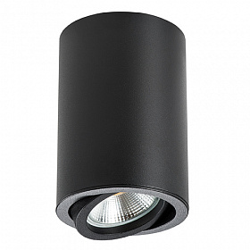 Светильник точечный накладной декоративный под заменяемые галогенные или LED лампы Lightstar Rullo 214407 - фото и цены