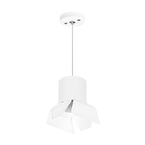Lightstar Комплект со светильником Rullo RP3486486 - фото и цены
